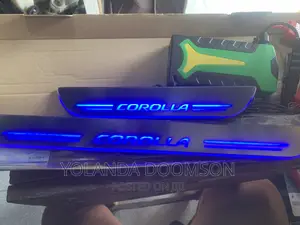 Fancy Step Door Light for All Cars