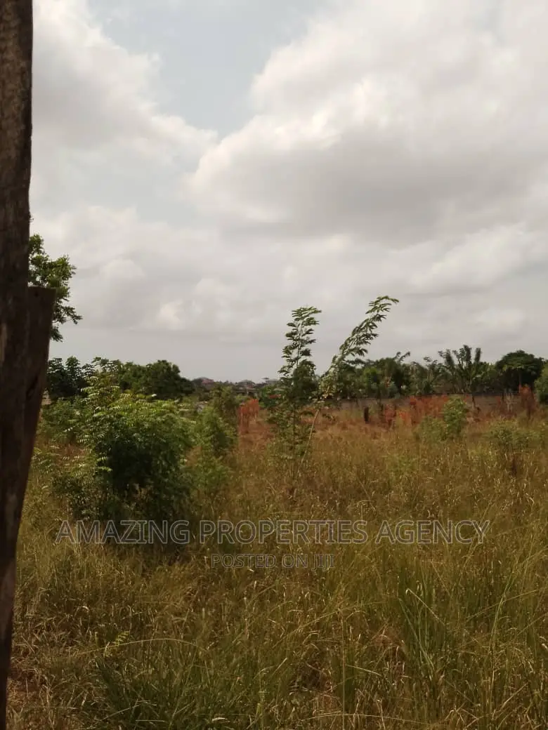 6 Plots of Land for Sale at Dawenya