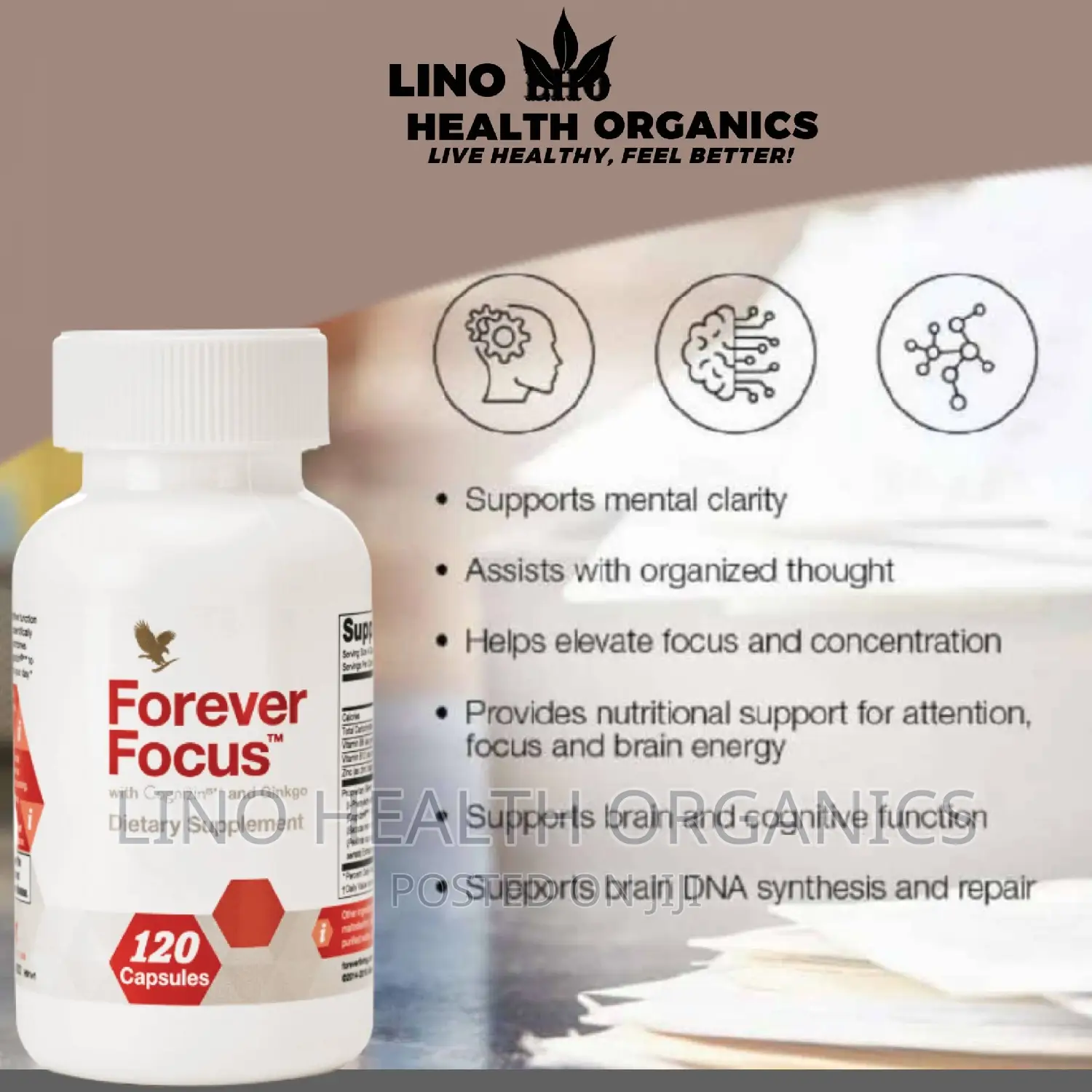 Best Brain and Cognitive Function Supplement / Forever Focus