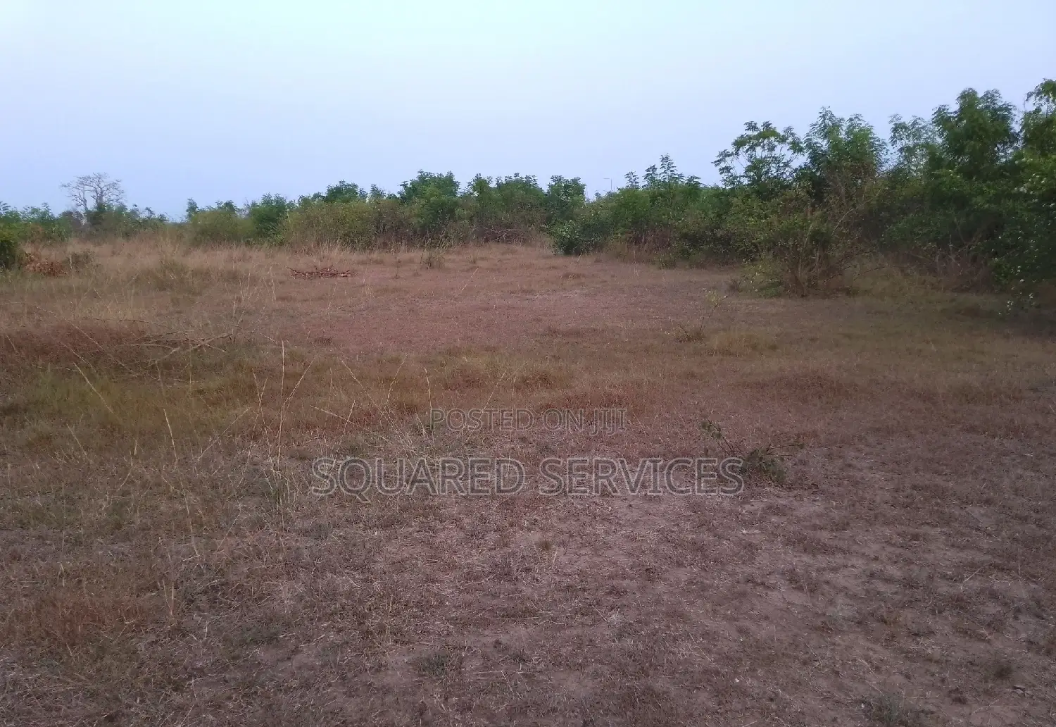 Genuine Estate Lands for Sale
