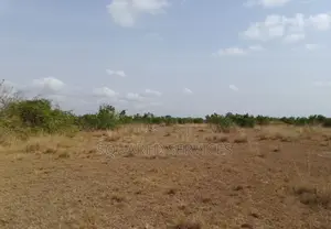 Genuine Estate Lands for Sale