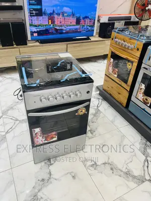 Sleek Sliver Gas Cooker Electric  Oven 2-2