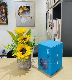 Purchase Affordable Echo Dot 5th Gen Rechargeable Speaker.