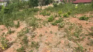 Land for Sale
Main Roadside 7 Plots of Land Adenta Frafraha