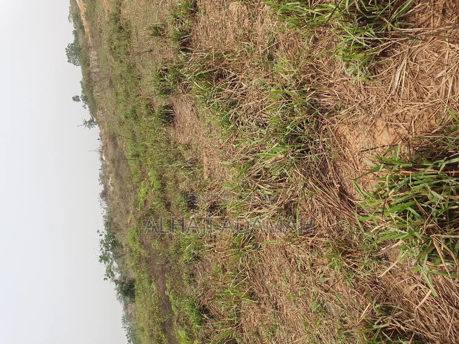 Land for Sale at Brofuyedro Darko