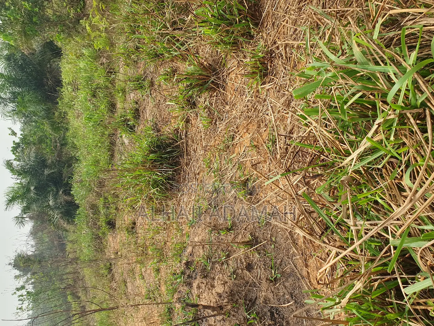 Land for Sale at Brofuyedro Darko