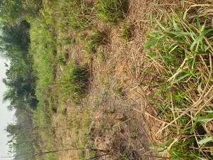 Land for Sale at Brofuyedro Darko