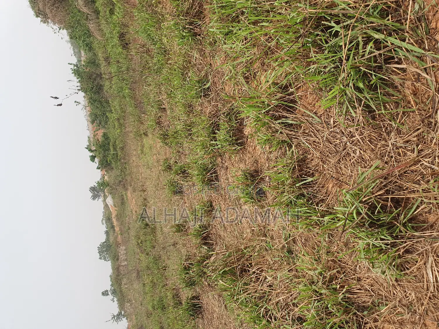 Land for Sale at Brofuyedro Darko