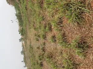 Land for Sale at Brofuyedro Darko