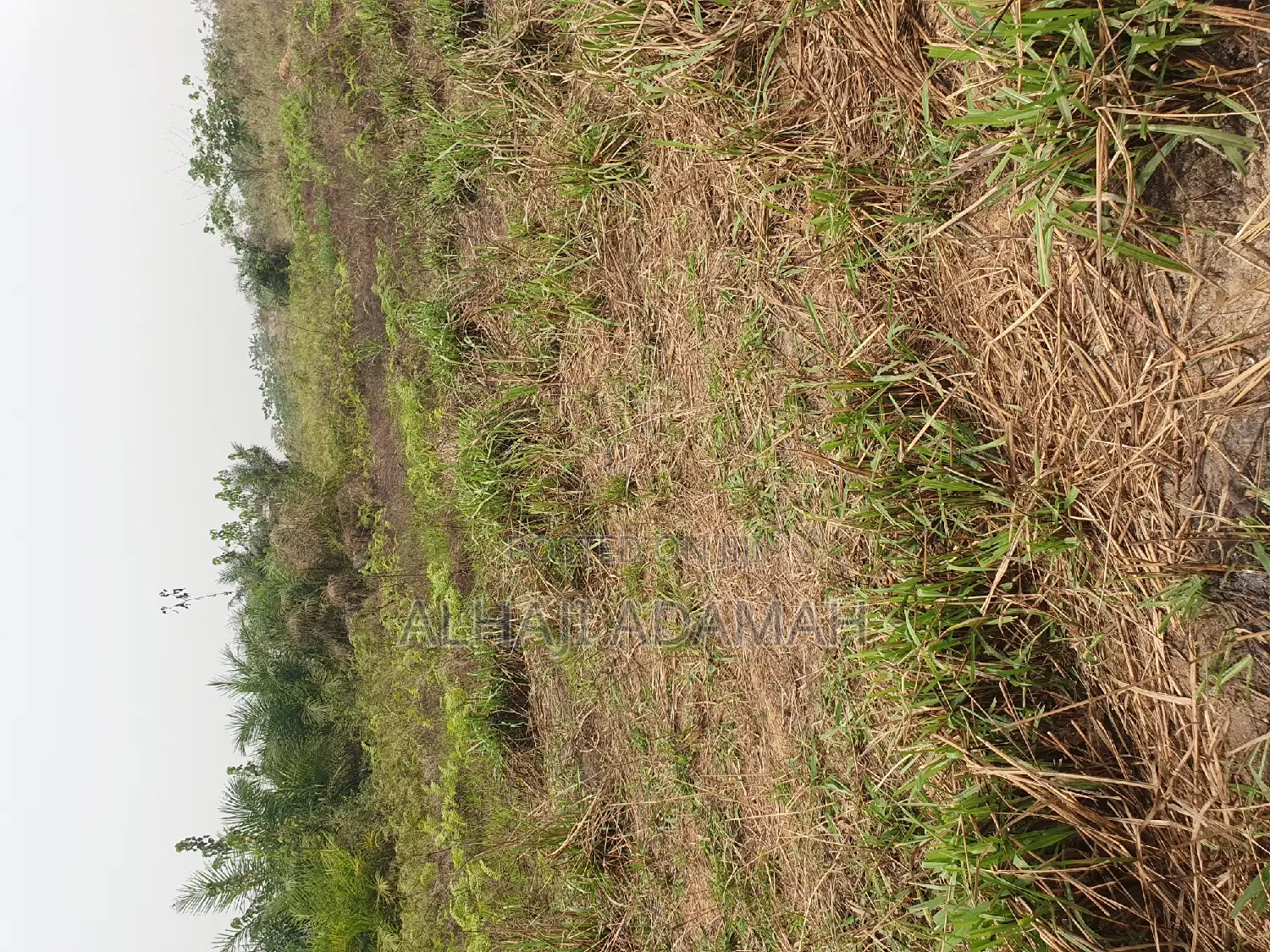 Land for Sale at Brofuyedro Darko