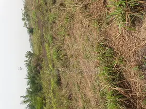 Land for Sale at Brofuyedro Darko
