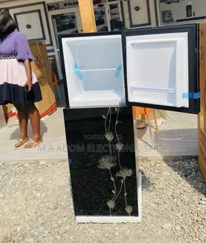 Super Quality Pearl Pf217t-2b 2 Door Electric Fridge.