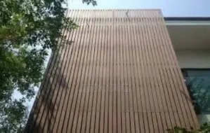 WPC Wall Panel