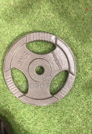 5kg Plate Single