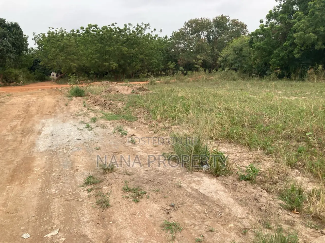 Fifty Acres of Land for Sale Located at Dowdowa Ayikuma