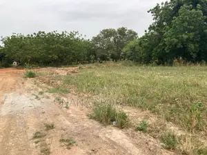 Fifty Acres of Land for Sale Located at Dowdowa Ayikuma