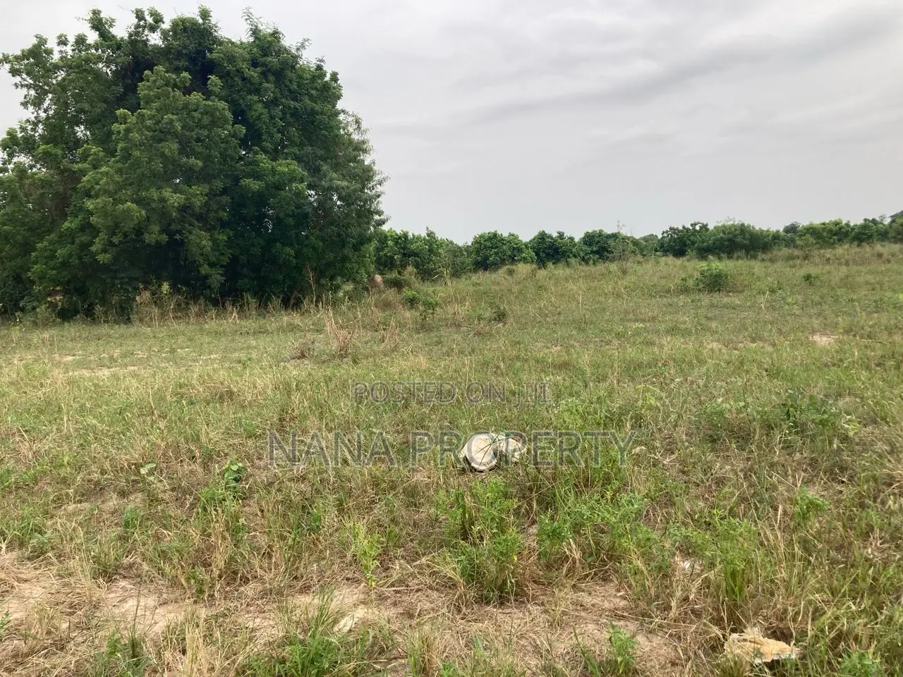 Fifty Acres of Land for Sale Located at Dowdowa Ayikuma