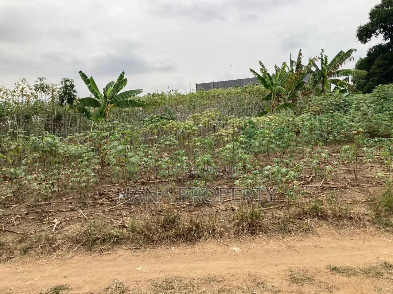 Ten Acres of Land for Sale Located at Velleey View