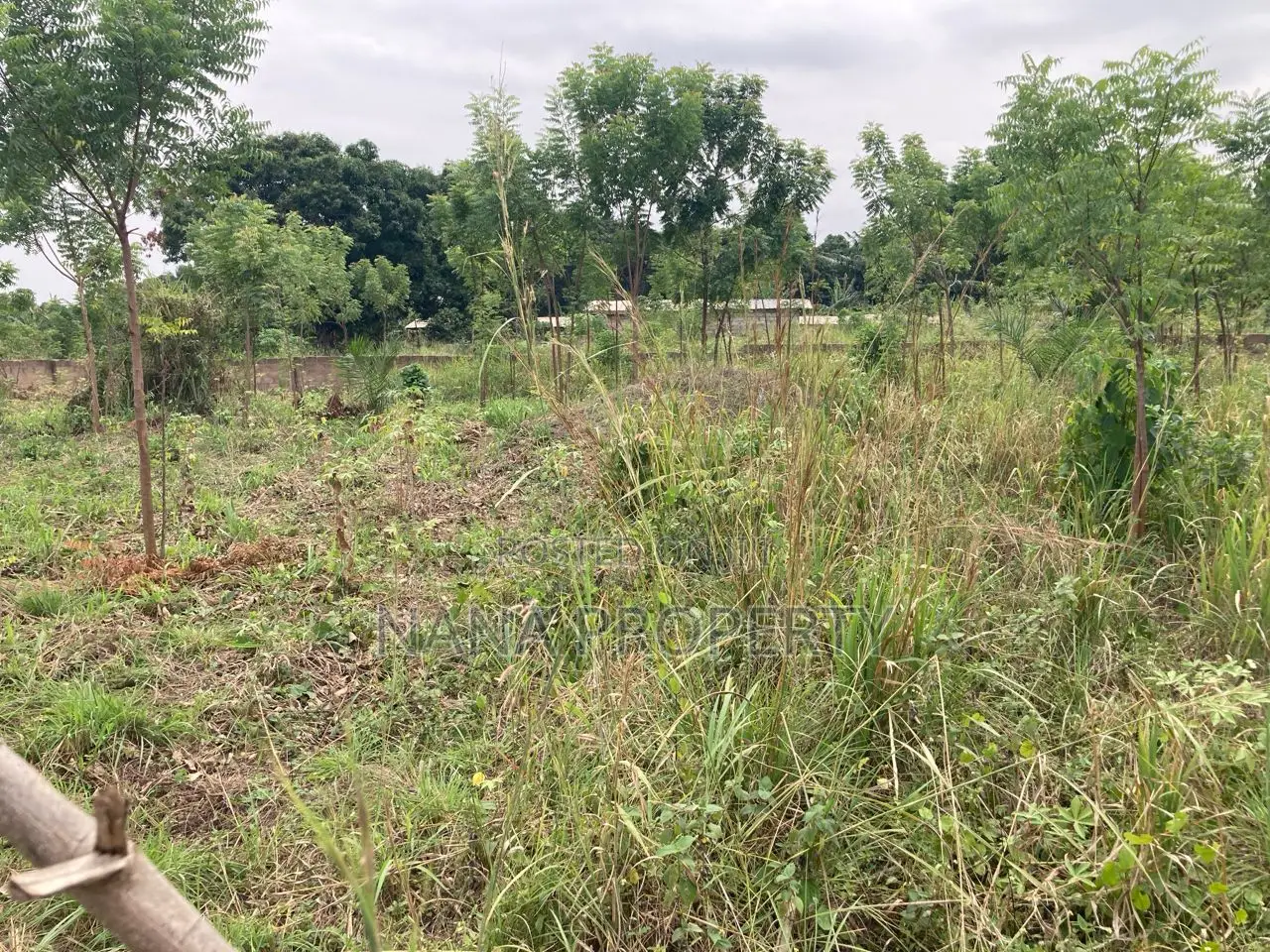 Ten Acres of Land for Sale Located at Velleey View