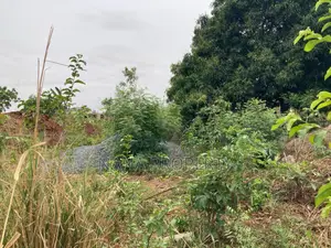 Four Plots of Land for Sale Located at Oyarifa Danfa