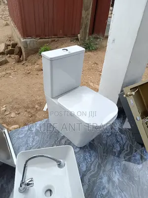 Slim Tank Toilet Seat Wc 309