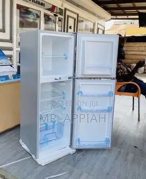 Energy Efficient Zara 22TM Double Door Electric Fridge,Gray