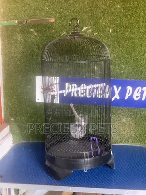 Parrot Cage Tag 0001