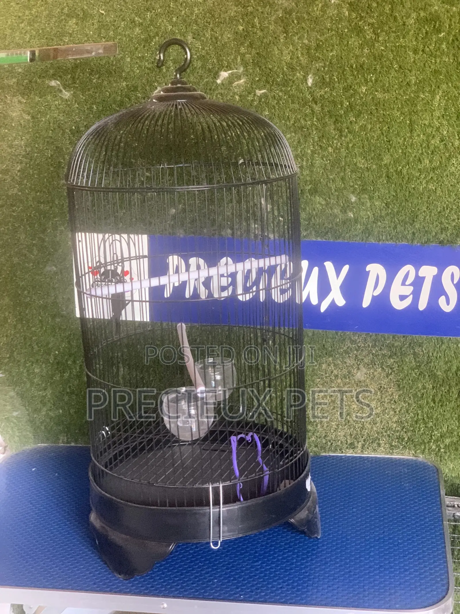 Parrot Cage Tag 0001