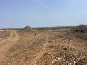 Borteyman Lands Is Ready for Sale Now