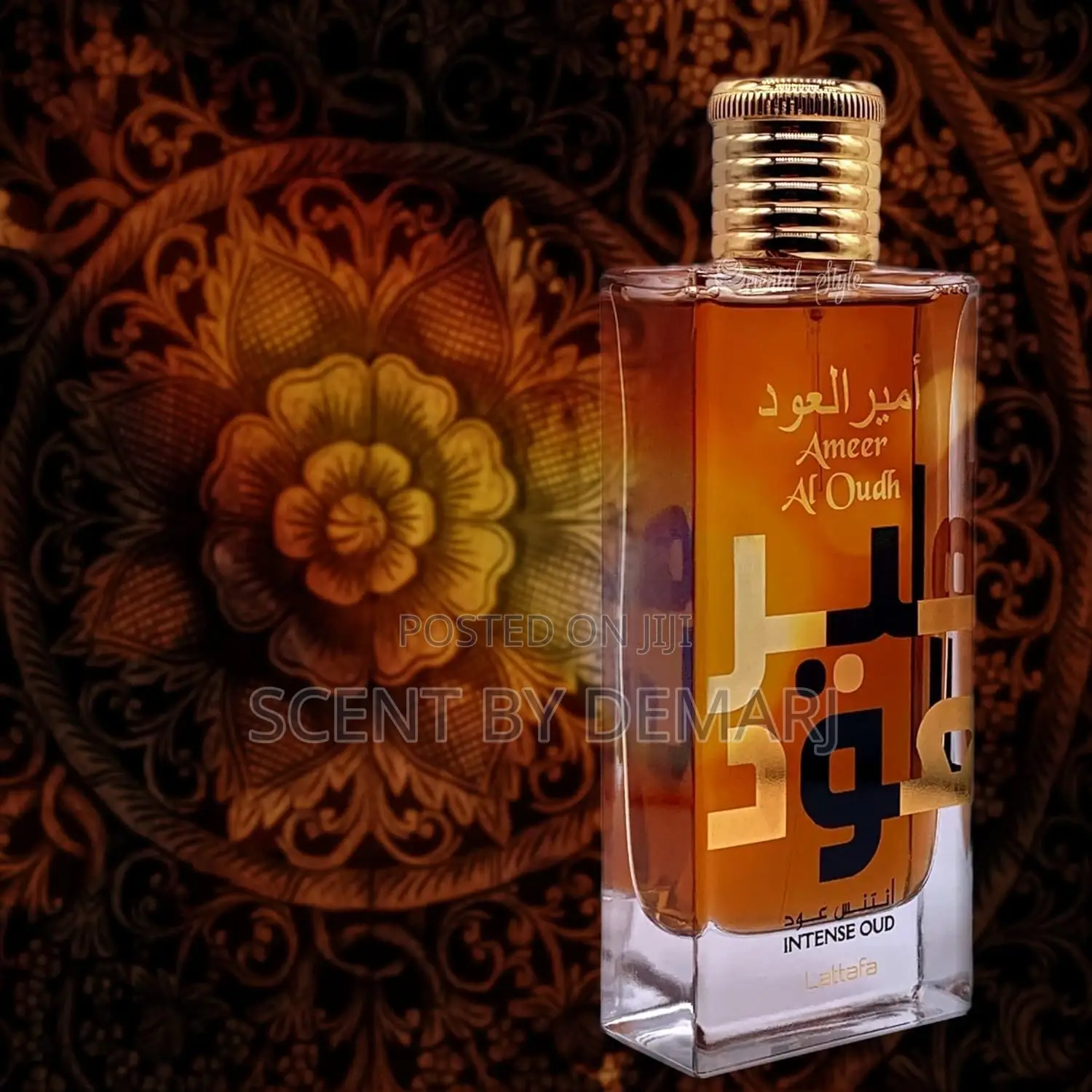 Ameer Al Oudh