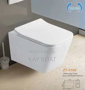 A Wall Hung Water Closet