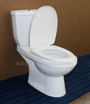 WC With Wash Basin With Pedestal (Dual Flush 456)