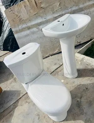 WC With Wash Basin With Pedestal (Dual Flush 456)