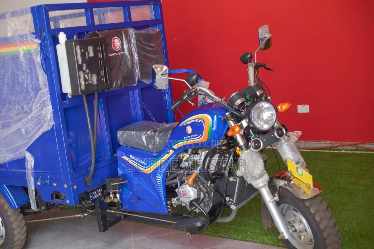 New Tricycle 2024 Blue