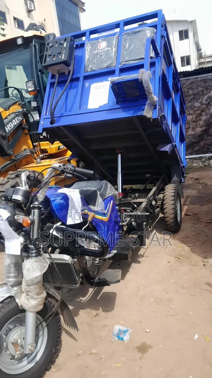 New Tricycle 2024 Blue