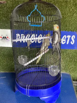 Cockatiel Parakeets Cage Tag 0001