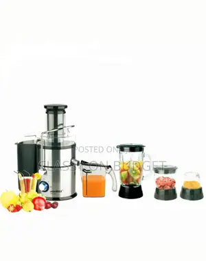 4 in 1 Juicer and Blender