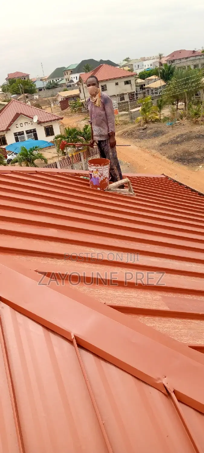 Roof Painting / Spraying