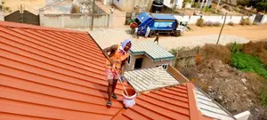 Roof Painting / Spraying