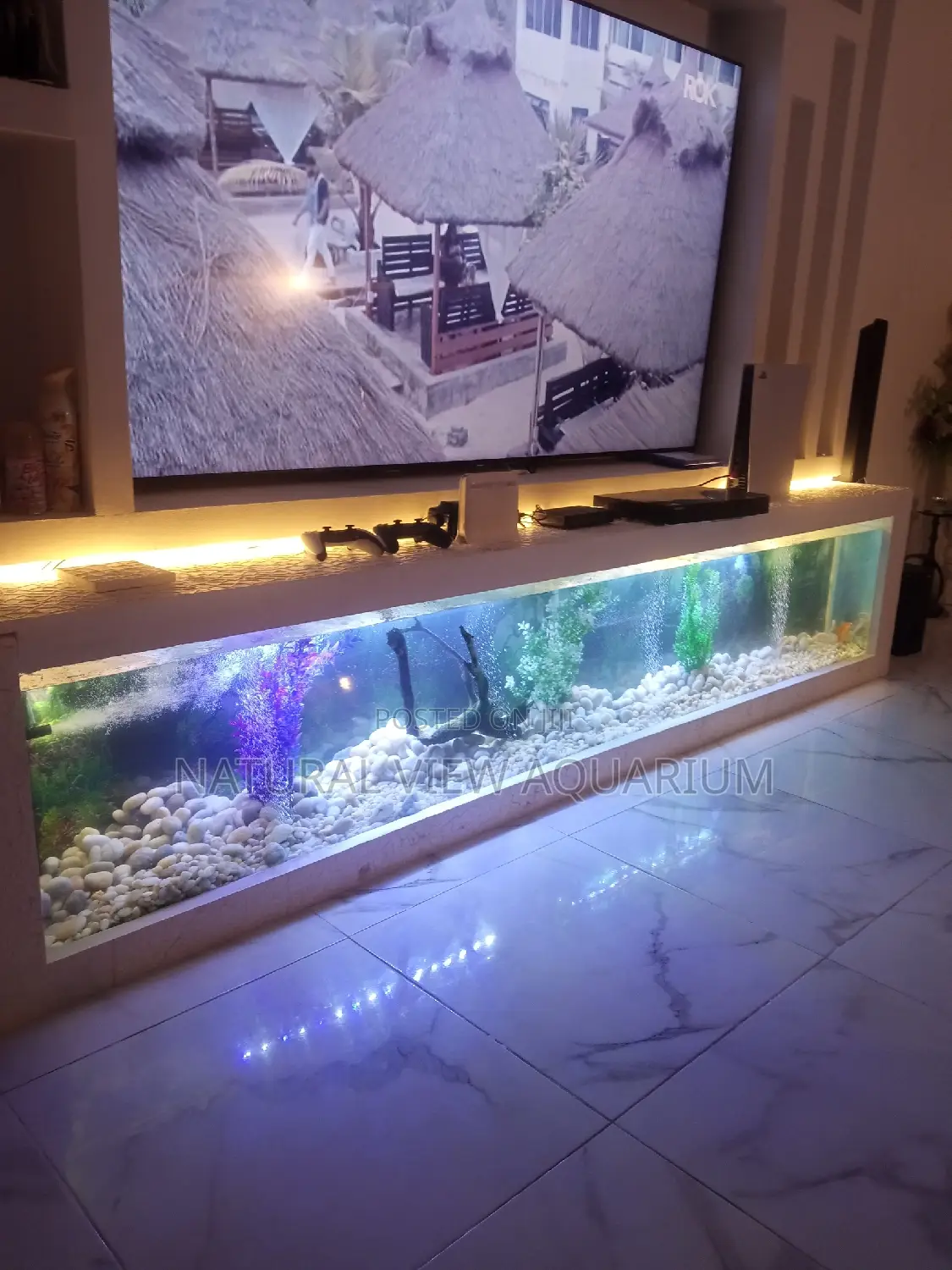 Aquarium Fish Tanks