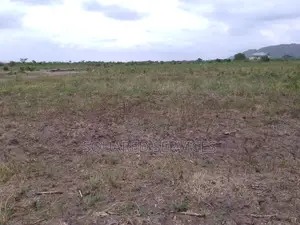 Land Survey and Demarcation