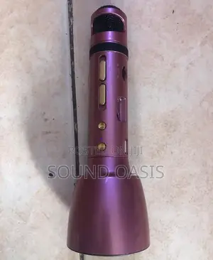 Rechargeable Handheld Microphone