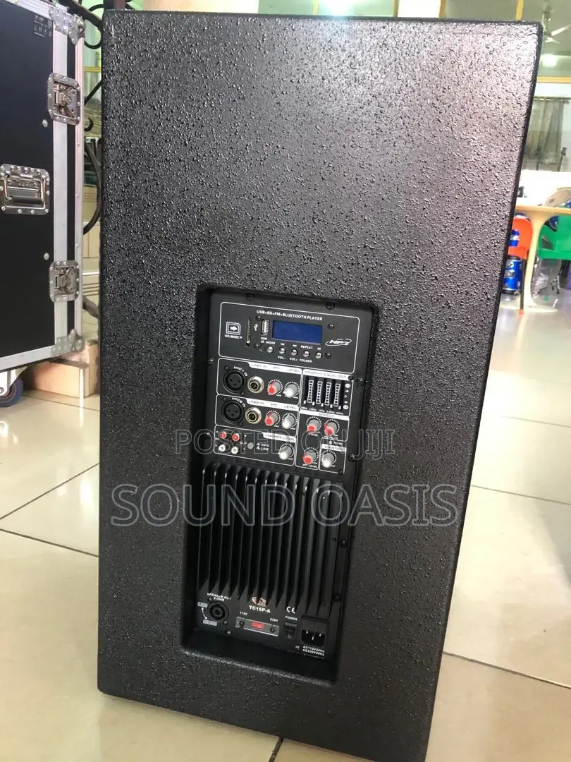 Titanic - GLS TC15P-A Active Loudspeaker