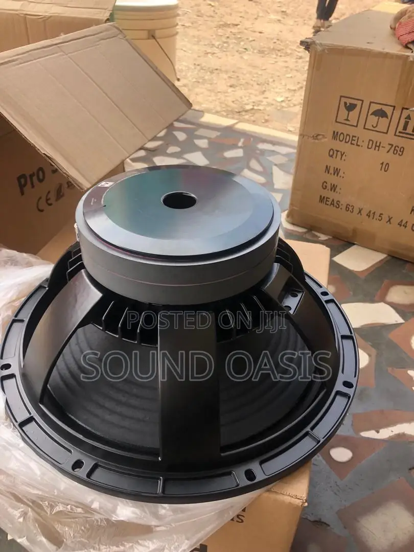 EV 12inches Line Array Double Magnet 1500-2000w Speaker