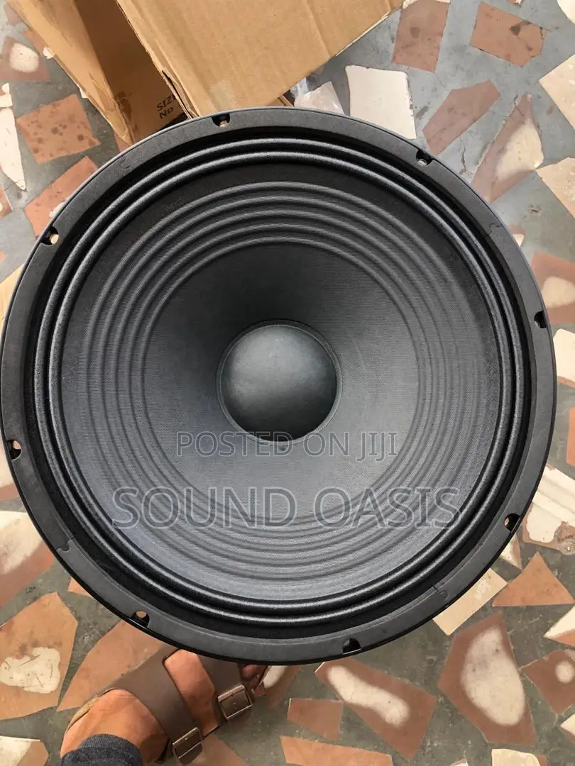 EV 12inches Line Array Double Magnet 1500-2000w Speaker