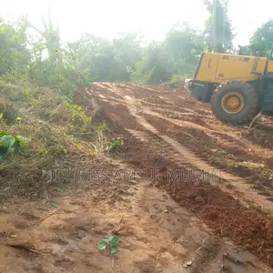 Surveying Work