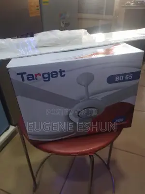 Ceiling Fan Big Mottor