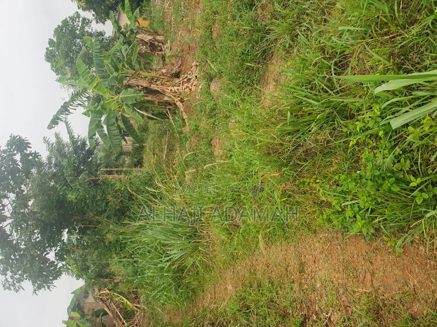 Land for Sale at Santasi Ahema Kokoben