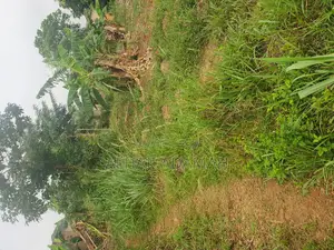 Land for Sale at Santasi Ahema Kokoben