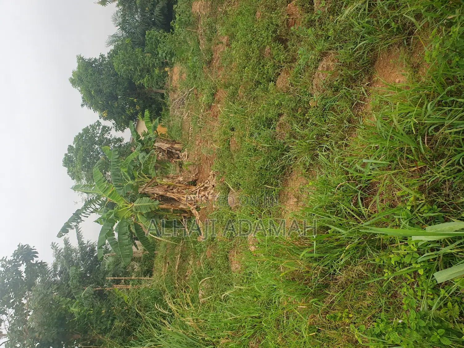 Land for Sale at Santasi Ahema Kokoben
